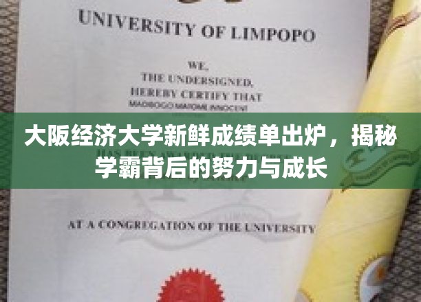 解码大阪经济大学学霸秘籍，揭秘努力与成长的蜕变之路