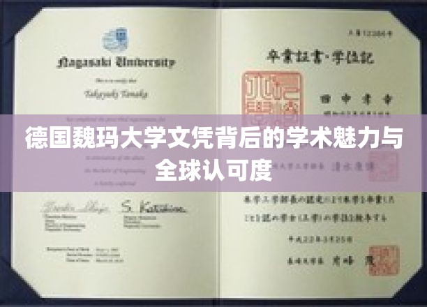 解码魏玛荣耀，德国名校文凭的学术光芒与全球通行证
