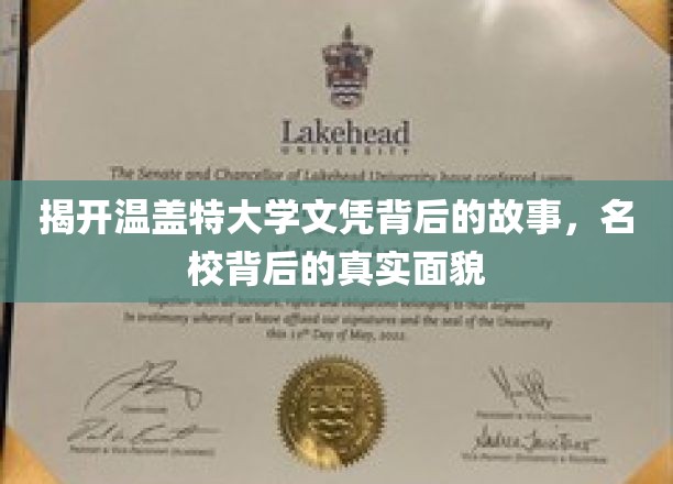 揭开温盖特大学文凭背后的故事，名校背后的真实面貌