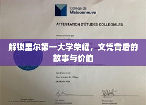 揭秘里尔第一大学的光荣与成就，文凭背后的传奇故事及其价值