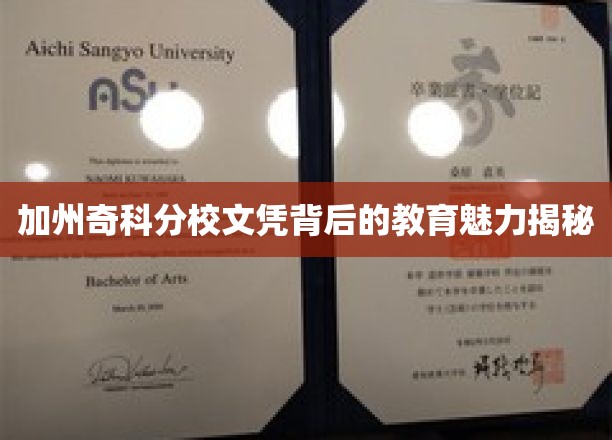 加州奇科分校文凭，揭开隐藏的教育宝藏魅力