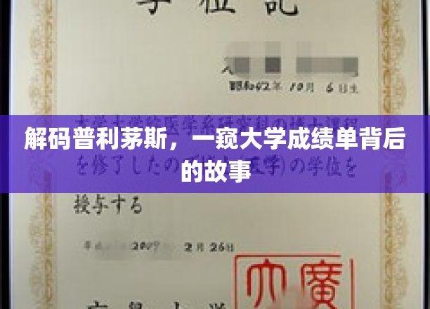 解码普利茅斯，一探大学成绩单背后的故事