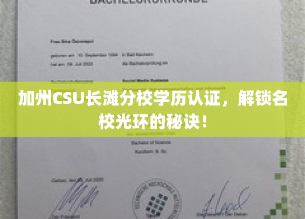 加州CSU长滩分校学历认证，解锁名校光环的秘诀！