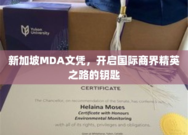 新加坡MDA文凭，开启国际商界精英之路的钥匙