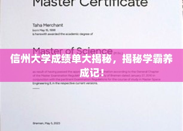 信州学霸养成记，一窥成绩单背后的秘密世界