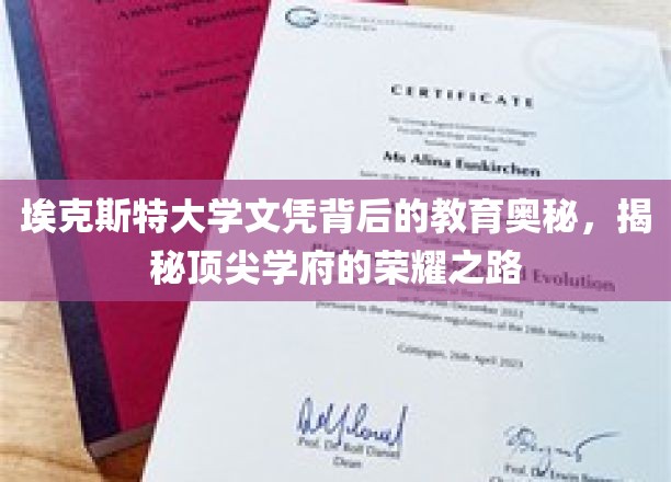 解码埃克斯特大学，探寻精英教育的卓越秘境