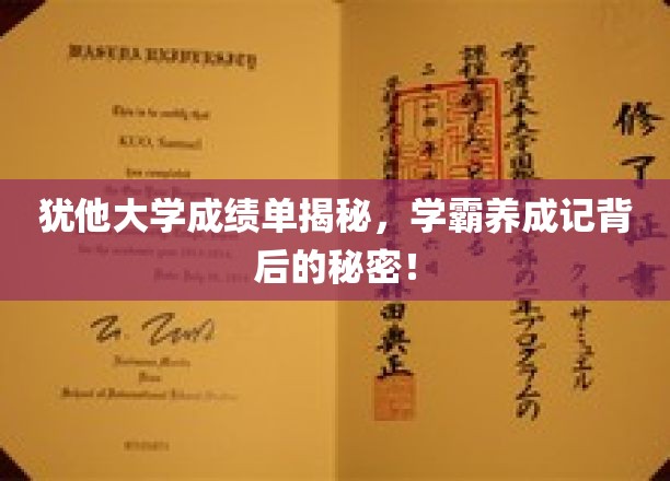揭开犹他大学学霸养成之谜，成绩单背后的惊人真相