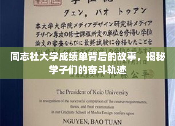 揭开同志社大学成绩单的奥秘，探寻学子的青春足迹