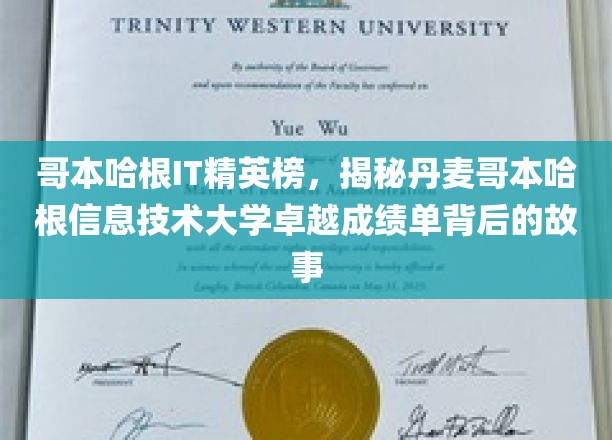 解码哥本哈根IT精英传奇，揭秘丹大IT卓越之路