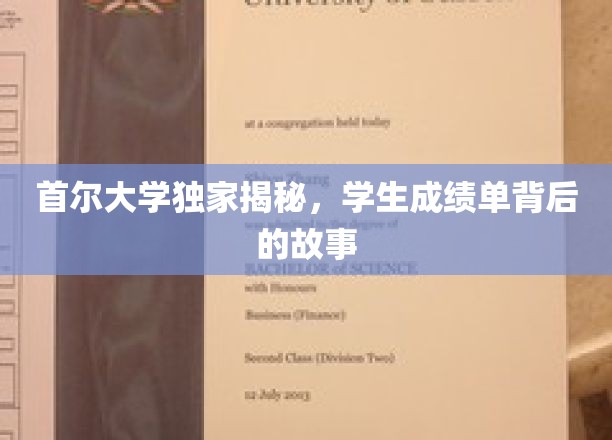 解码首尔大学成绩单，揭秘学霸背后的秘密生活