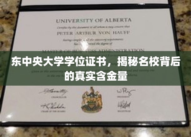 探寻东中央大学学位证书，名校光环下的真实价值揭秘