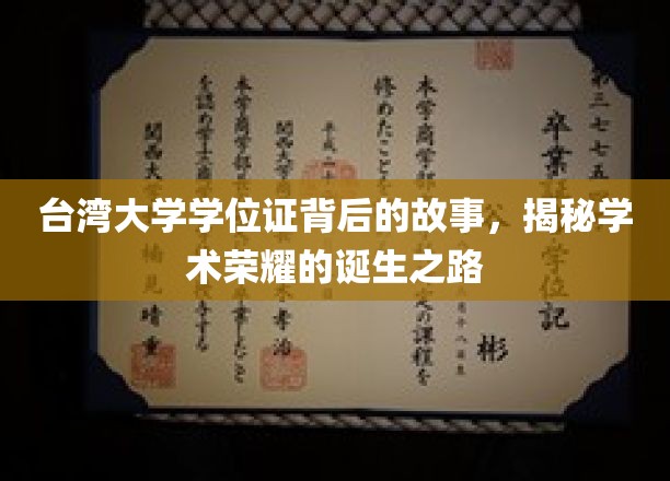 解码台大荣耀，学位证书背后的传奇旅程