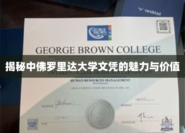 解码中佛罗里达大学学位的全球吸引力与职场溢价