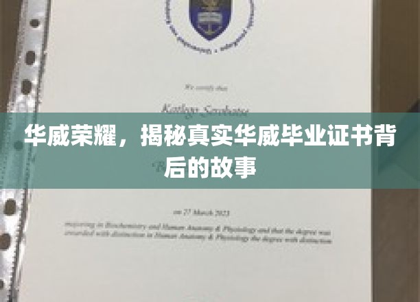 揭开华威荣耀，毕业证书背后的传奇历程