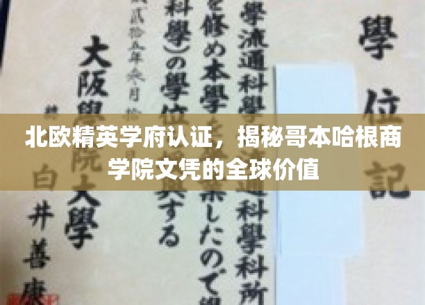 北欧精英学府认证，揭秘哥本哈根商学院文凭的全球价值
