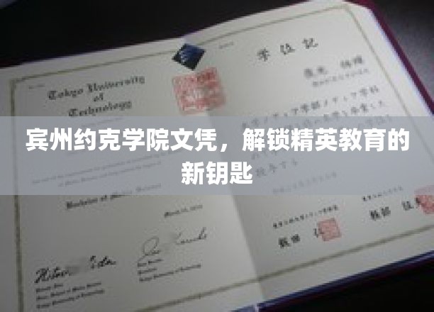 宾州约克学院文凭，开启精英教育之门的新凭证