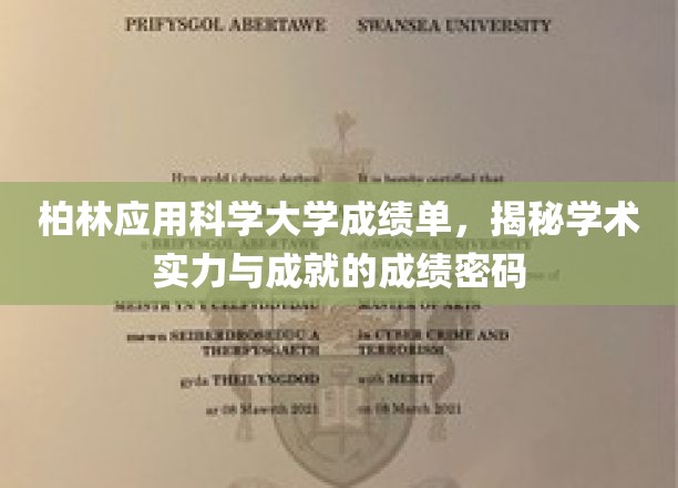 柏林应用科学大学成绩单，揭秘学术实力与成就的成绩密码