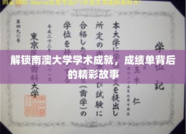 探寻南澳大学学子卓越成就背后的励志篇章