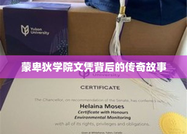 蒙卑狄学院，揭秘文凭背后的不凡历程
