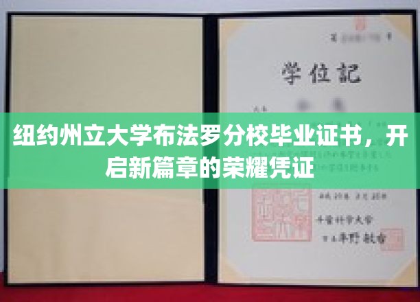 纽约州立大学布法罗分校毕业证书，开启新篇章的荣耀凭证
