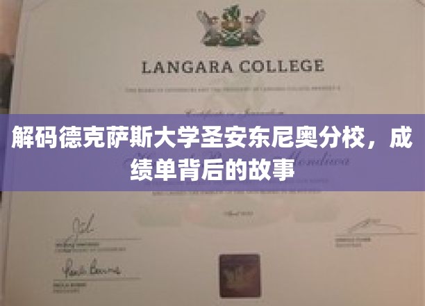 探索德克萨斯大学圣安东尼奥分校，揭开学术成就的神秘面纱