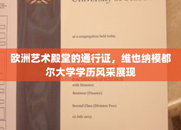 欧洲艺术殿堂的通行证，维也纳模都尔大学学历风采展现