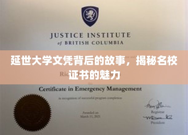 延世大学文凭，探寻名校背后的荣耀与梦想