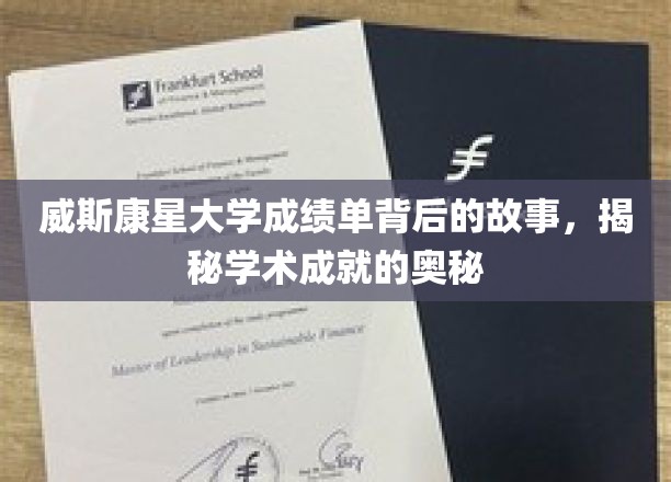 威斯康星大学成绩单背后的故事，揭秘学术成就的奥秘