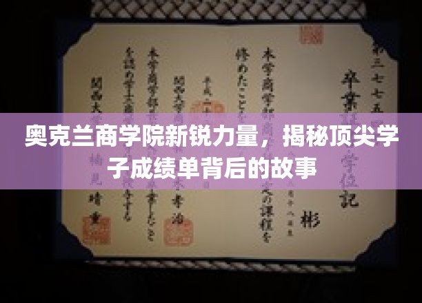 奥克兰商学院新星崛起，揭秘学霸背后的奋斗轨迹