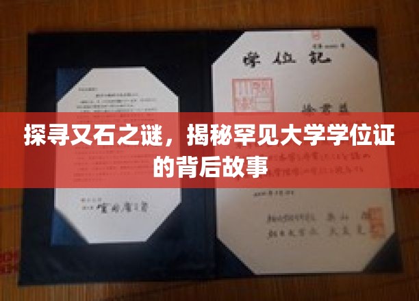 解开高校神秘学位证的谜团，一纸证书背后的传奇轨迹