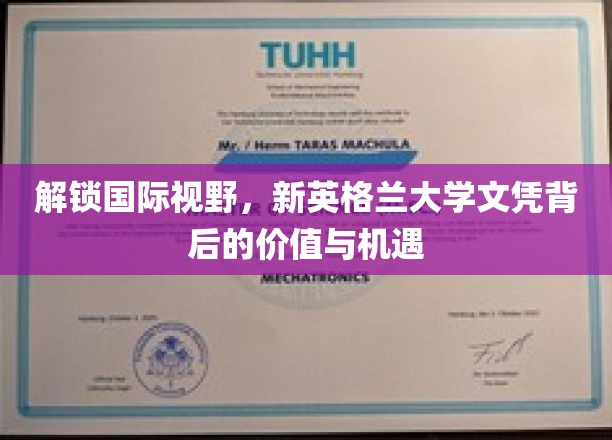 跨国梦想启航，新英格兰大学文凭的全球价值与无限可能