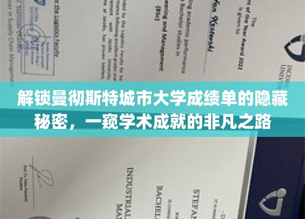 解码曼大成绩单，探寻学子卓越成就的神秘轨迹