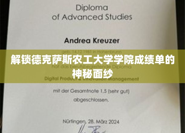 揭开德克萨斯农工大学学院成绩单的神秘面纱