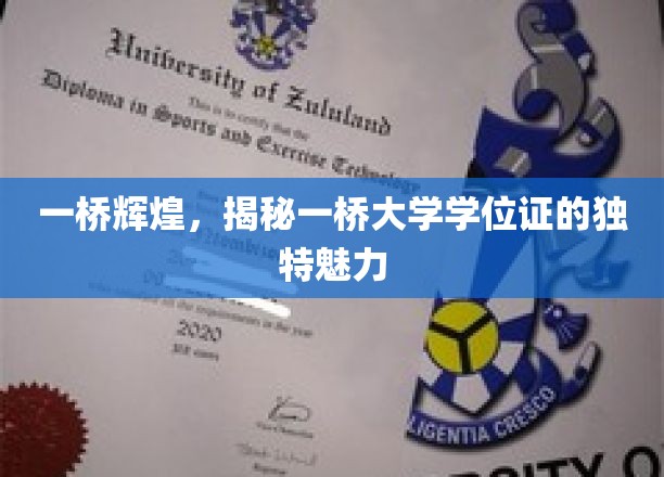 一桥大学学位证的辉煌风采，探寻其独特魅力