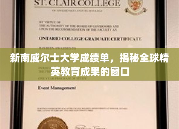 新南威尔士大学成绩单，透视国际精英教育的高光时刻