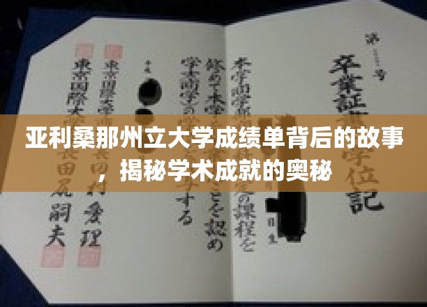 亚利桑那州立大学成绩单背后的故事，揭示学术成就的奥秘
