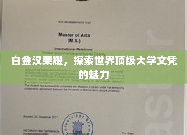 白金汉荣耀之旅，揭秘世界顶级大学文凭的非凡魅力