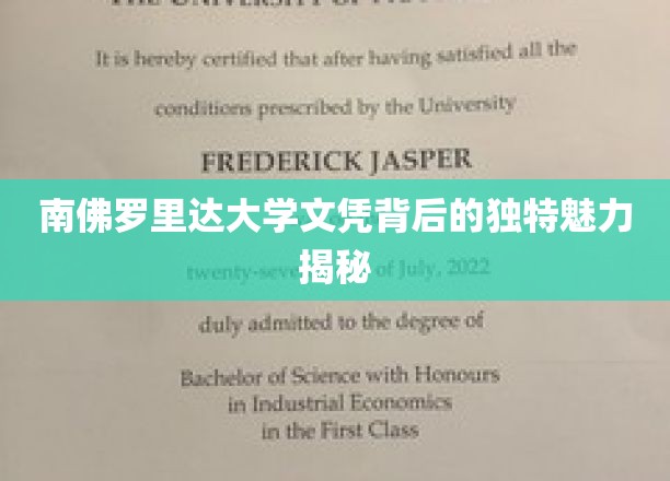 解码南佛罗里达大学文凭的非凡价值