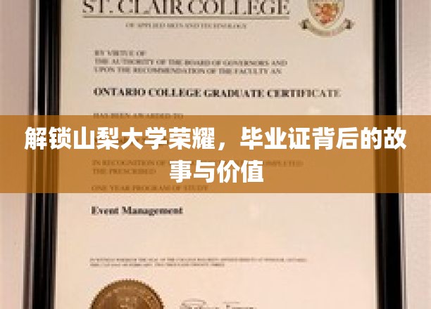 解锁山梨大学荣耀，毕业证背后的故事与价值