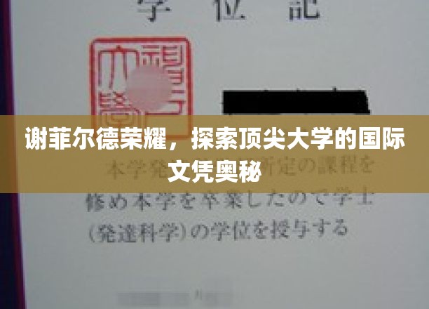解码谢菲尔德荣耀，揭秘顶尖国际文凭的奥秘之旅