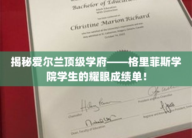 揭秘爱尔兰顶级学府——格里菲斯学院学生的耀眼成绩单！