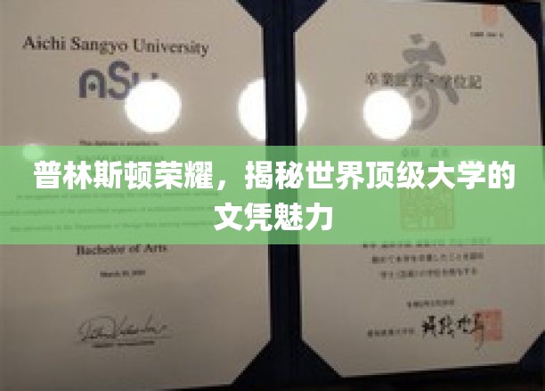 探寻普林斯顿光环，世界顶尖学府文凭的非凡魅力
