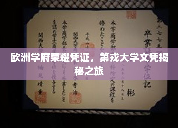 欧洲学术荣耀通行证，深度解读第戎大学文凭背后的故事