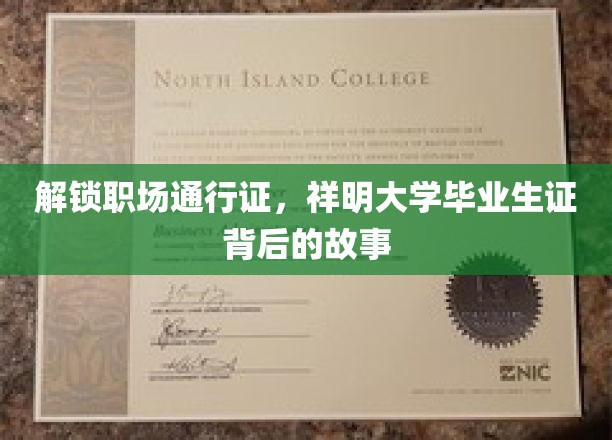 职场精英炼成记，祥明大学毕业生证的神秘力量