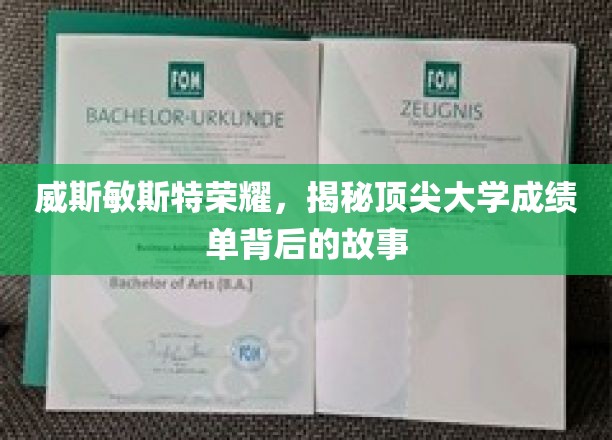 解码顶尖学府威斯敏斯特荣耀，背后的学术传奇与奋斗足迹