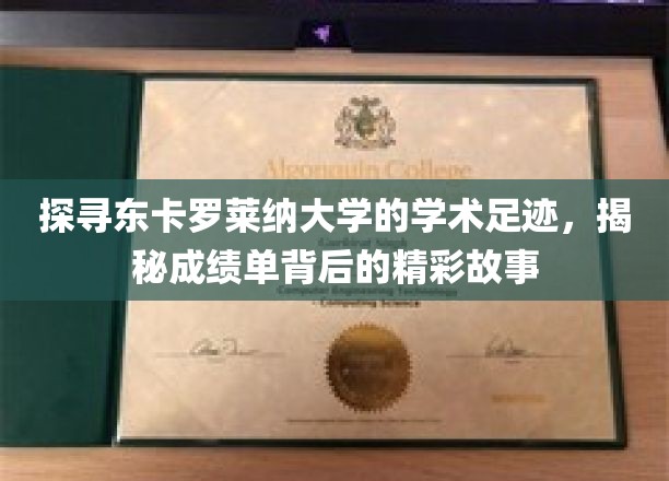 东卡罗莱纳大学成绩单背后，一场学术传奇的深度解读