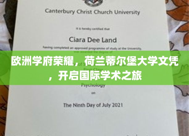 跨洋深造新篇章，荷兰蒂尔堡大学文凭，解锁全球学术之门