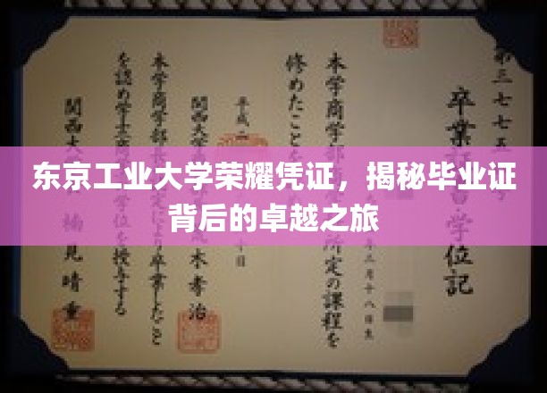 东京工业大学荣耀凭证，揭秘毕业证背后的卓越之旅