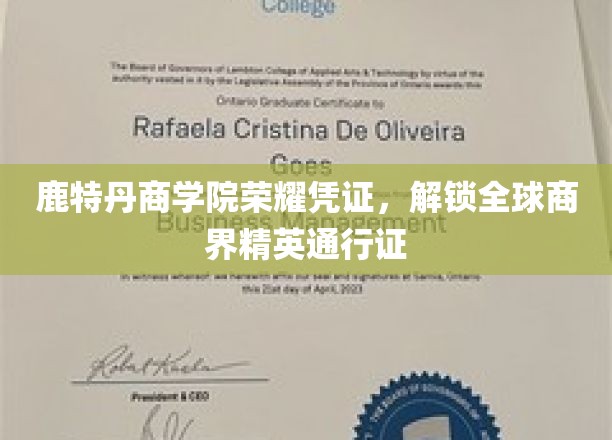 鹿特丹商学院荣耀通行证，开启商界精英国际之旅