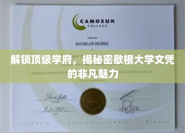 解锁顶级学府，揭秘密歇根大学文凭的非凡魅力